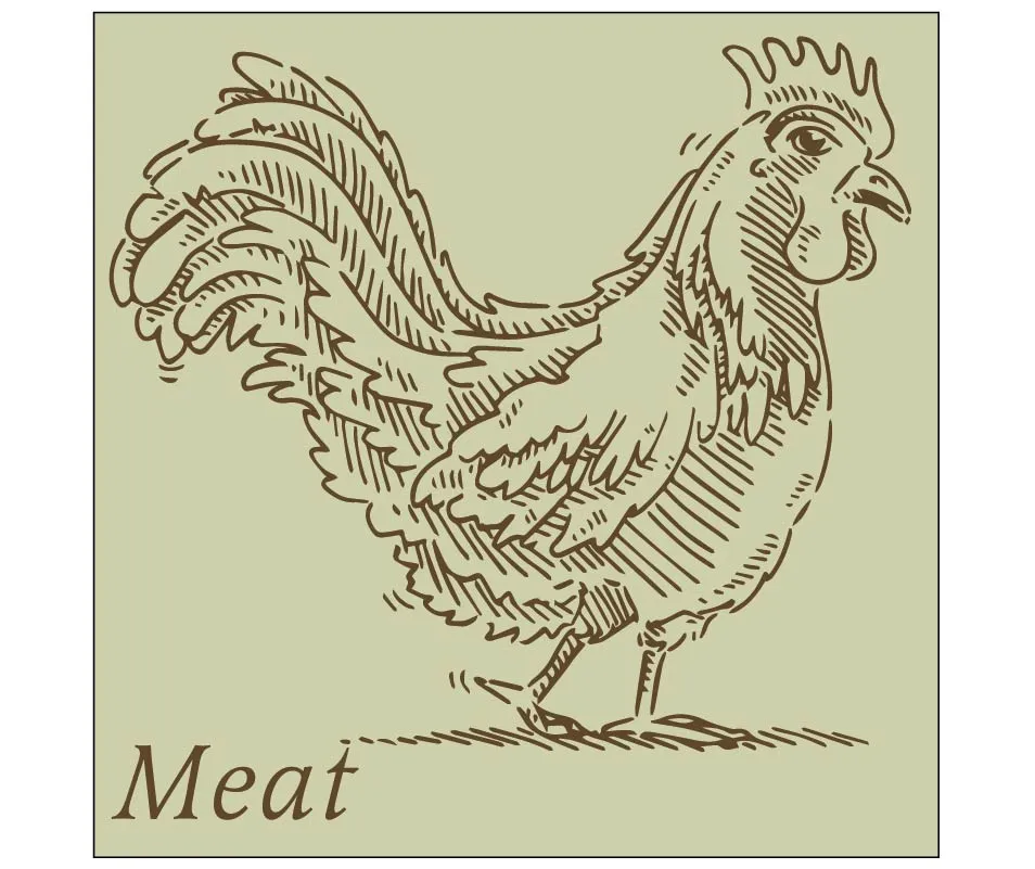 Department Sign, Wall Graphics (Traditional) - Meat Shop2It Retail - Department Sign, Wall Graphics (Traditional) - Meat